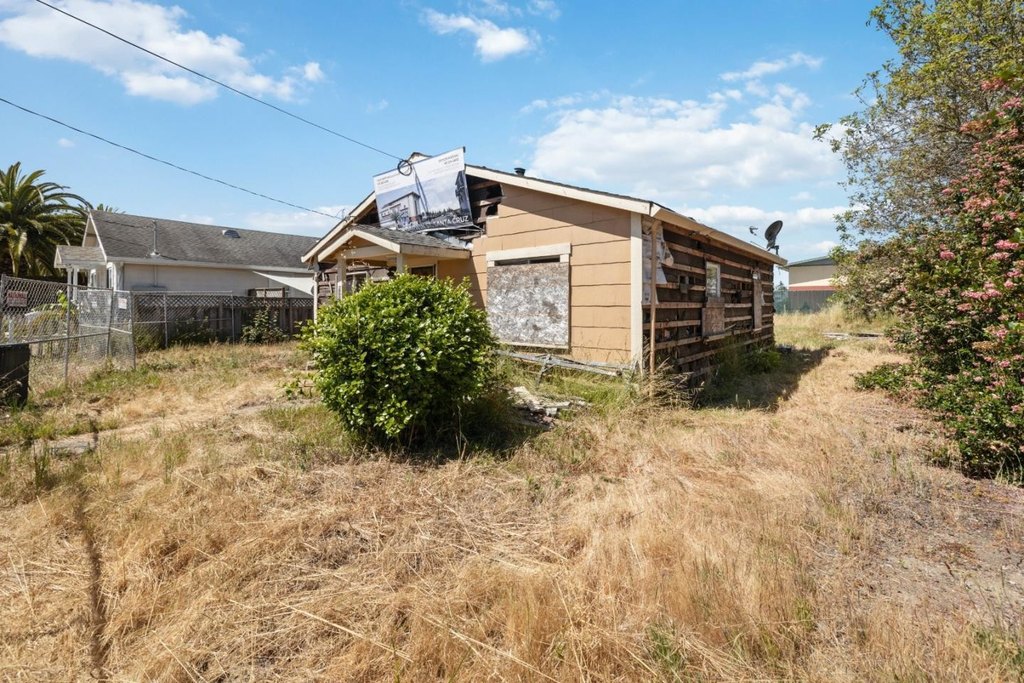 Picture 19