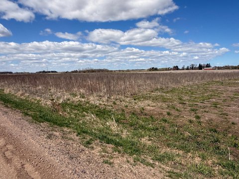 LAND - Princeton, MN