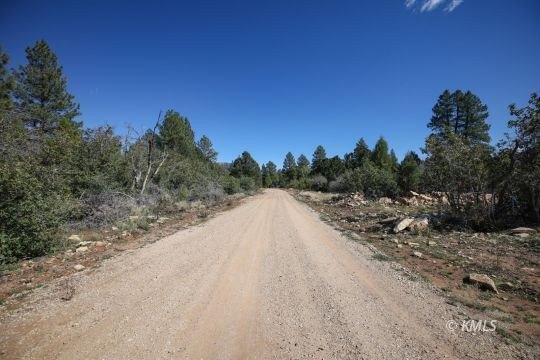 Picture 11
