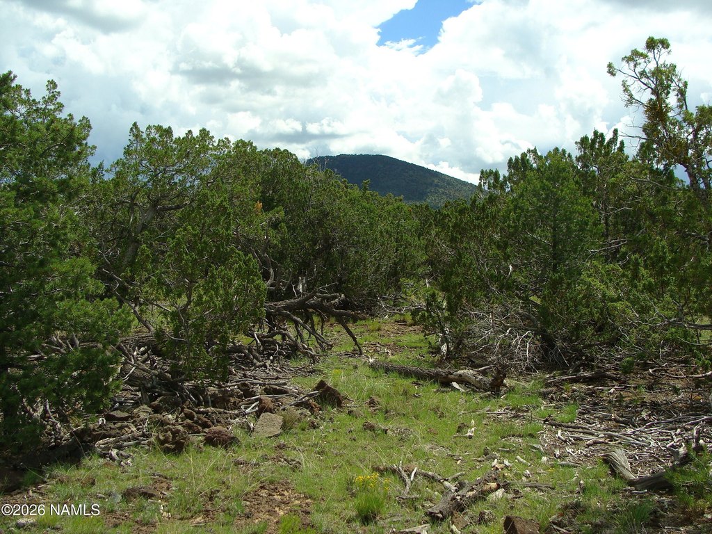 Picture 13