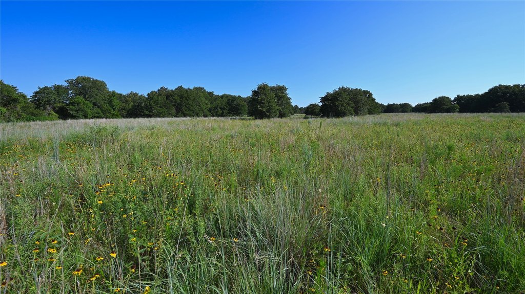 Picture 23