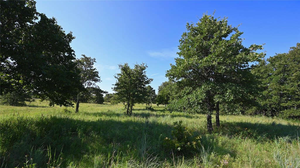 Picture 26