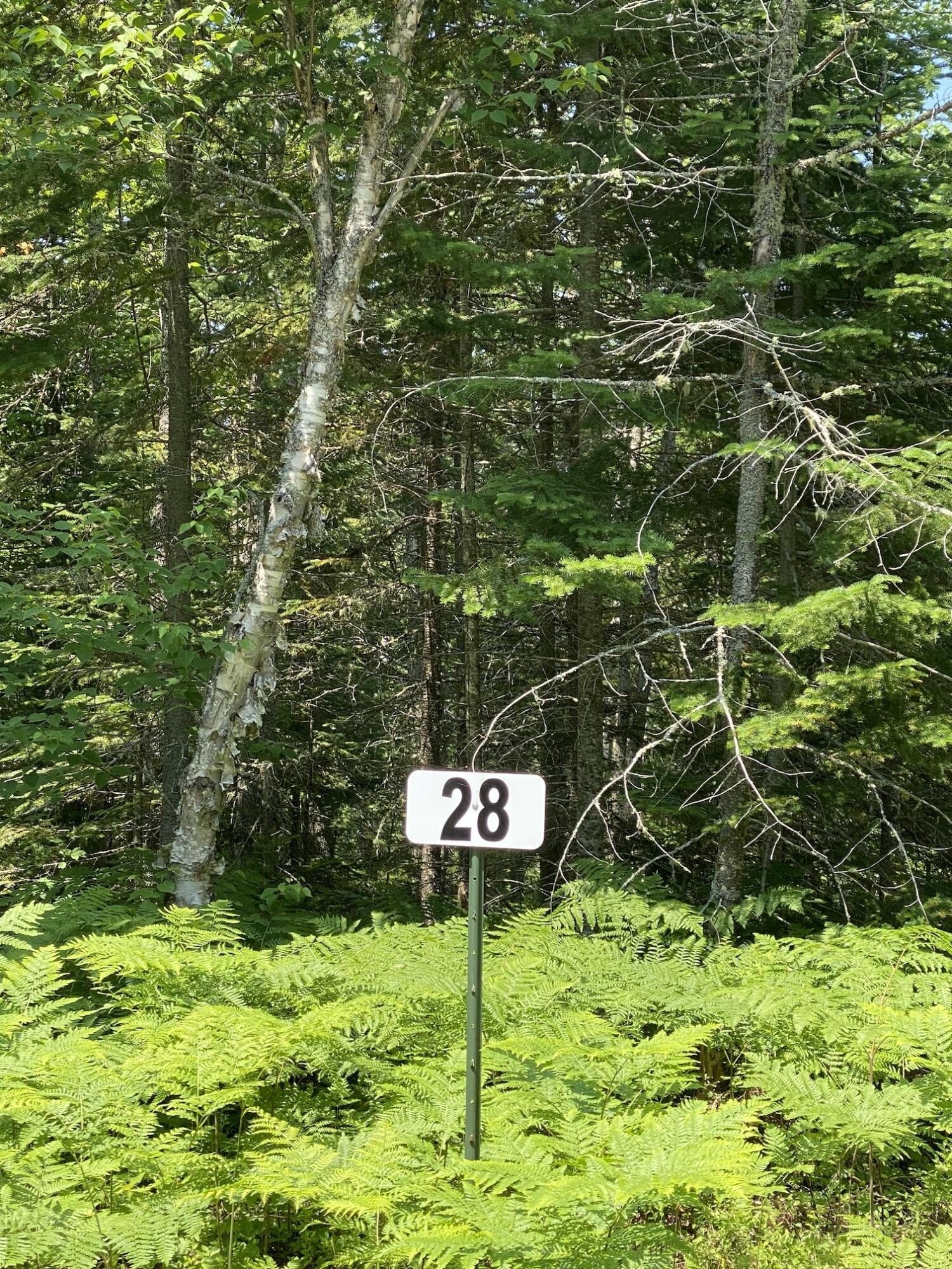 Residential Lot in Paradise, MI