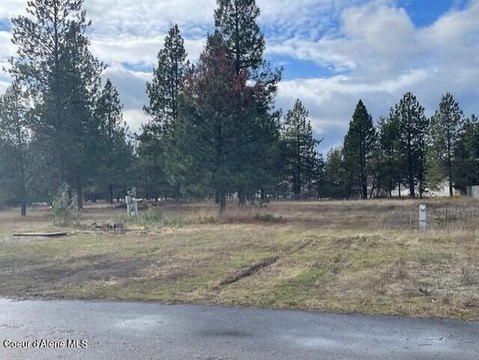 Commercial Land in Athol, ID