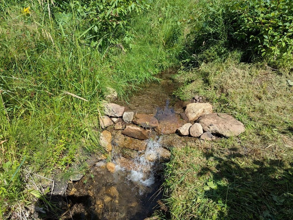 Picture 12