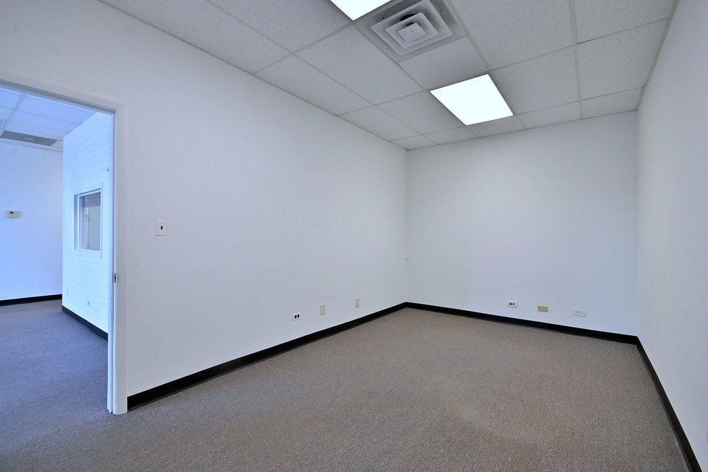 Picture 20