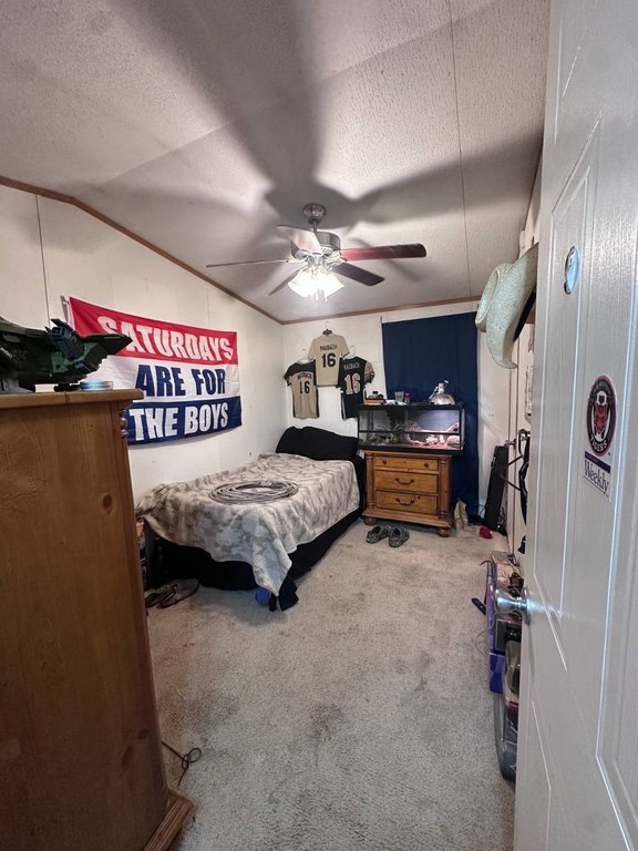 Picture 37