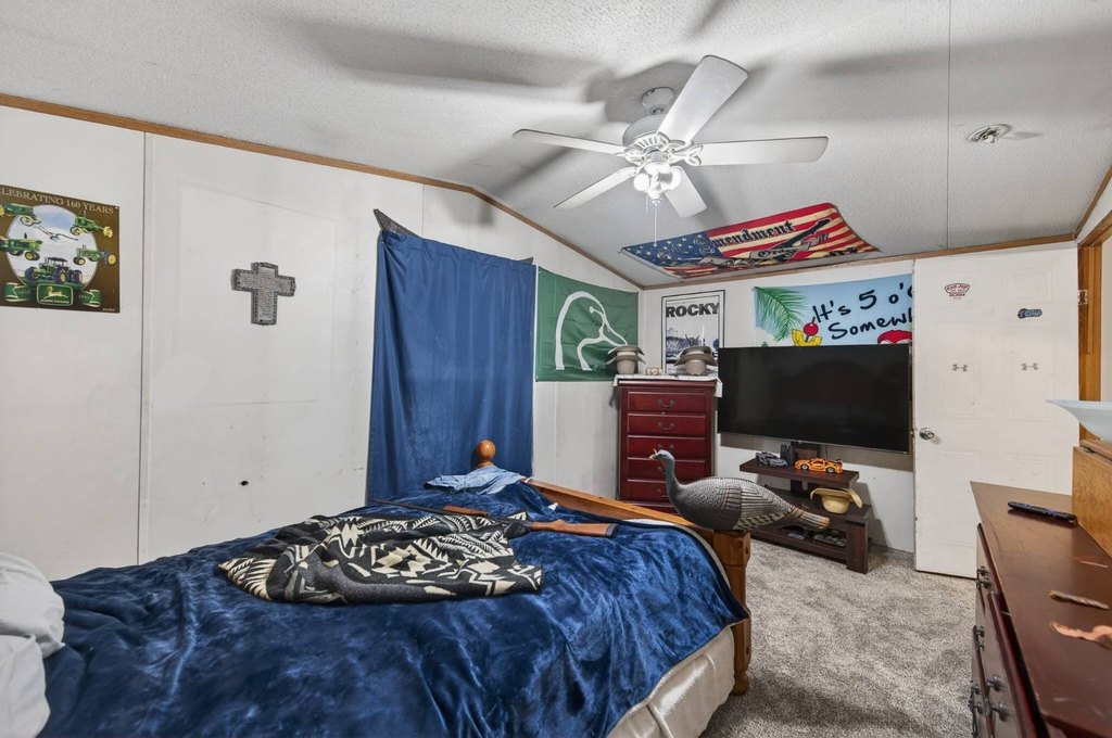 Picture 31