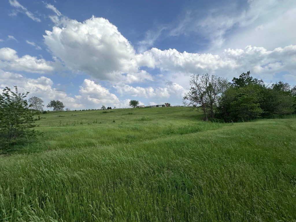 Picture 52