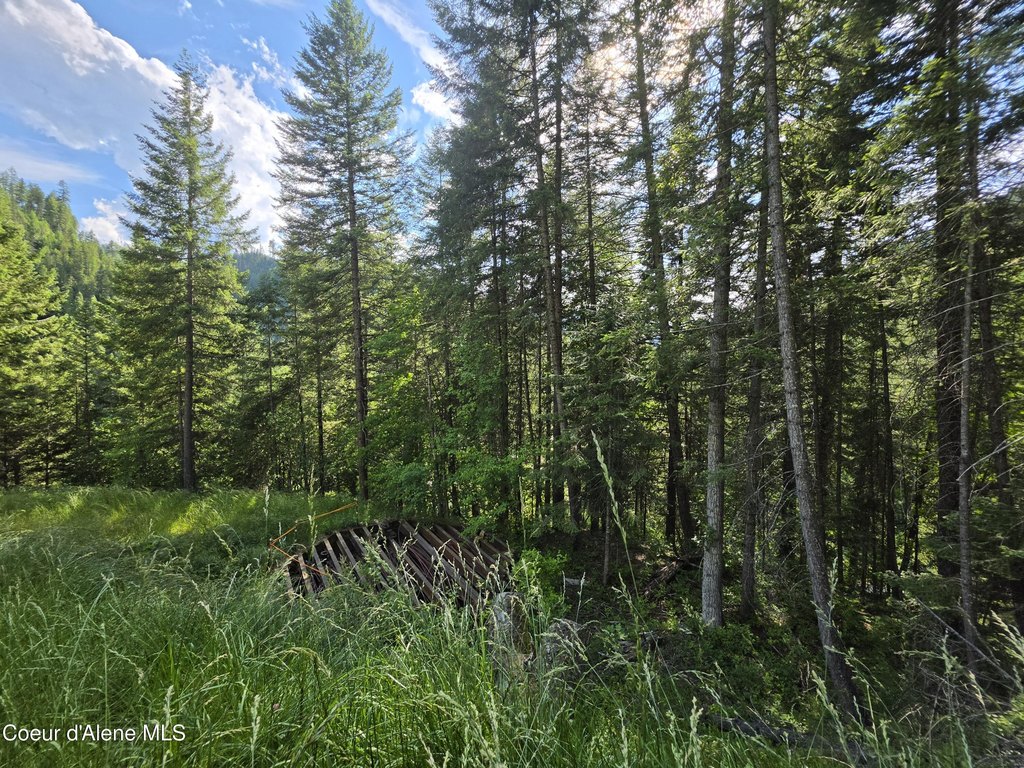 Picture 28