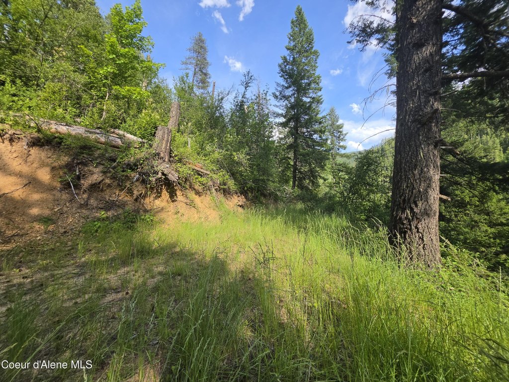Picture 26