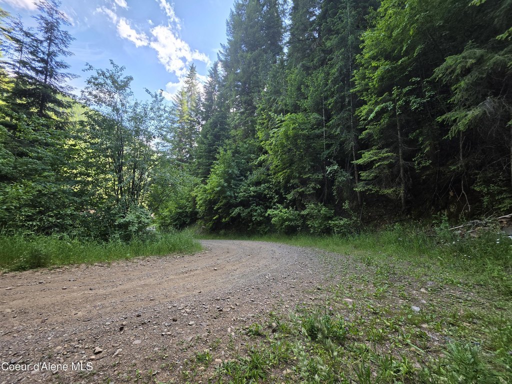 Picture 18