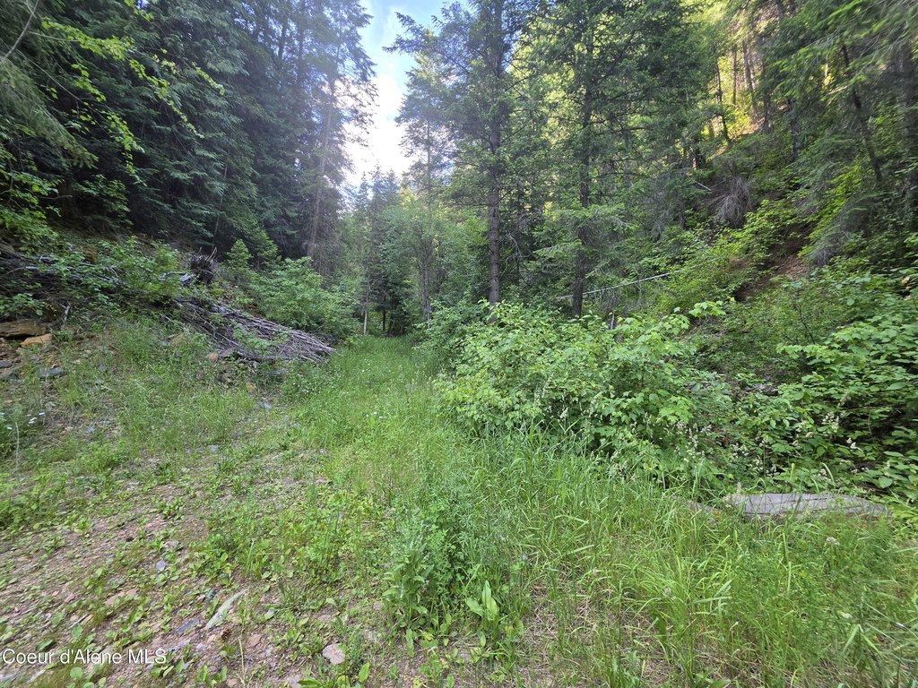 Picture 16