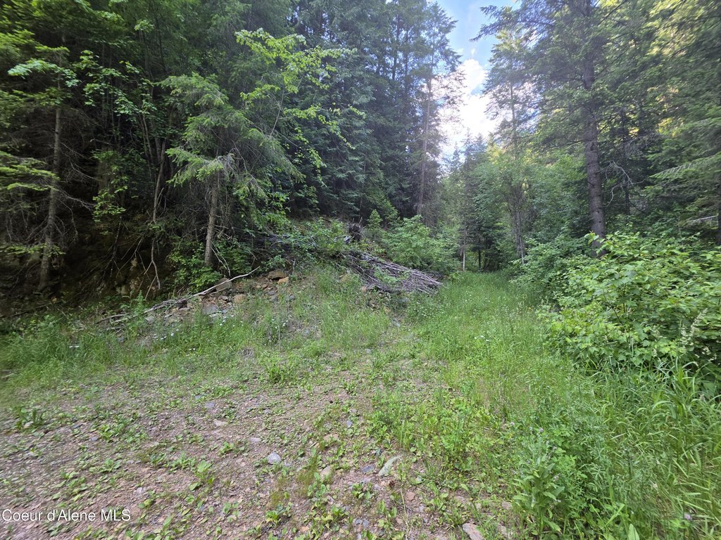 Picture 17
