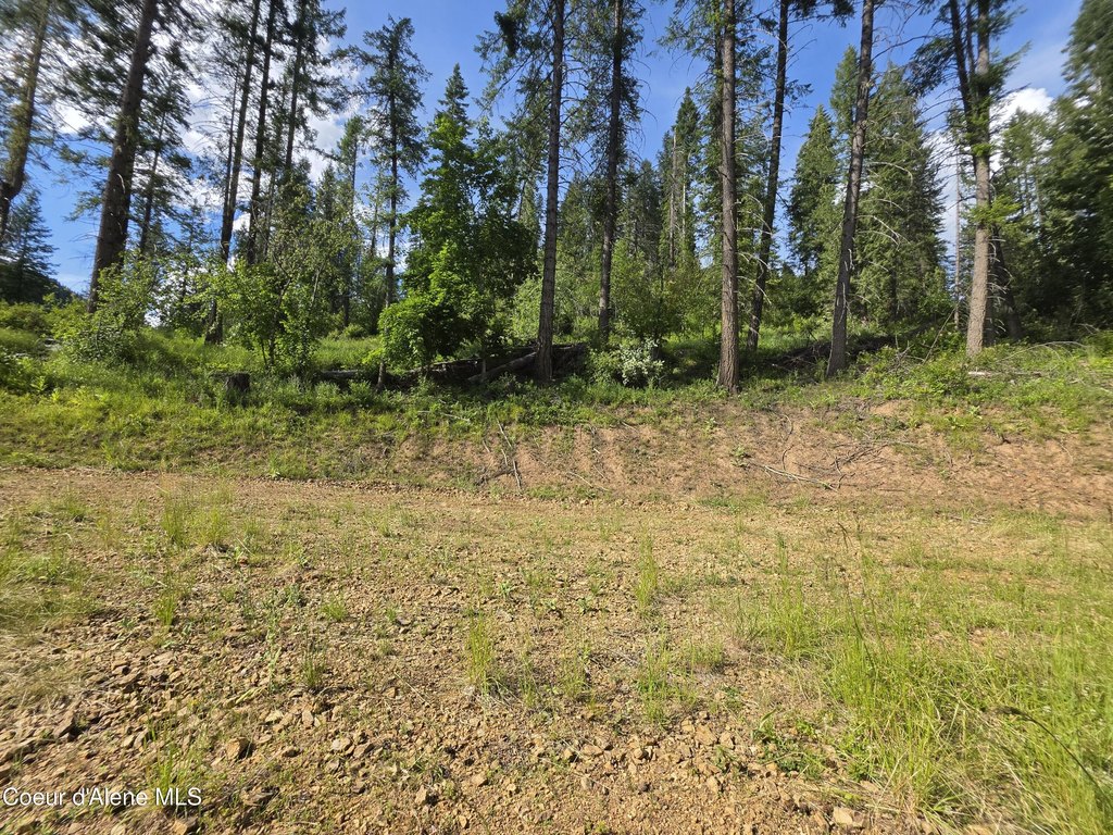 Picture 32