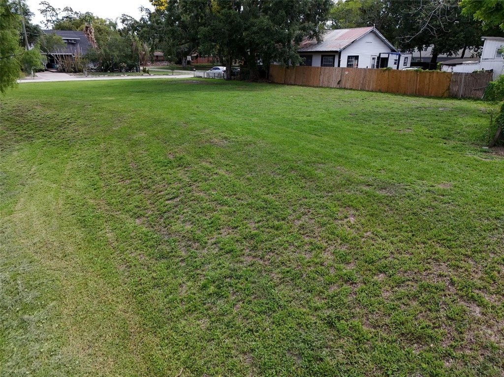 Picture 14