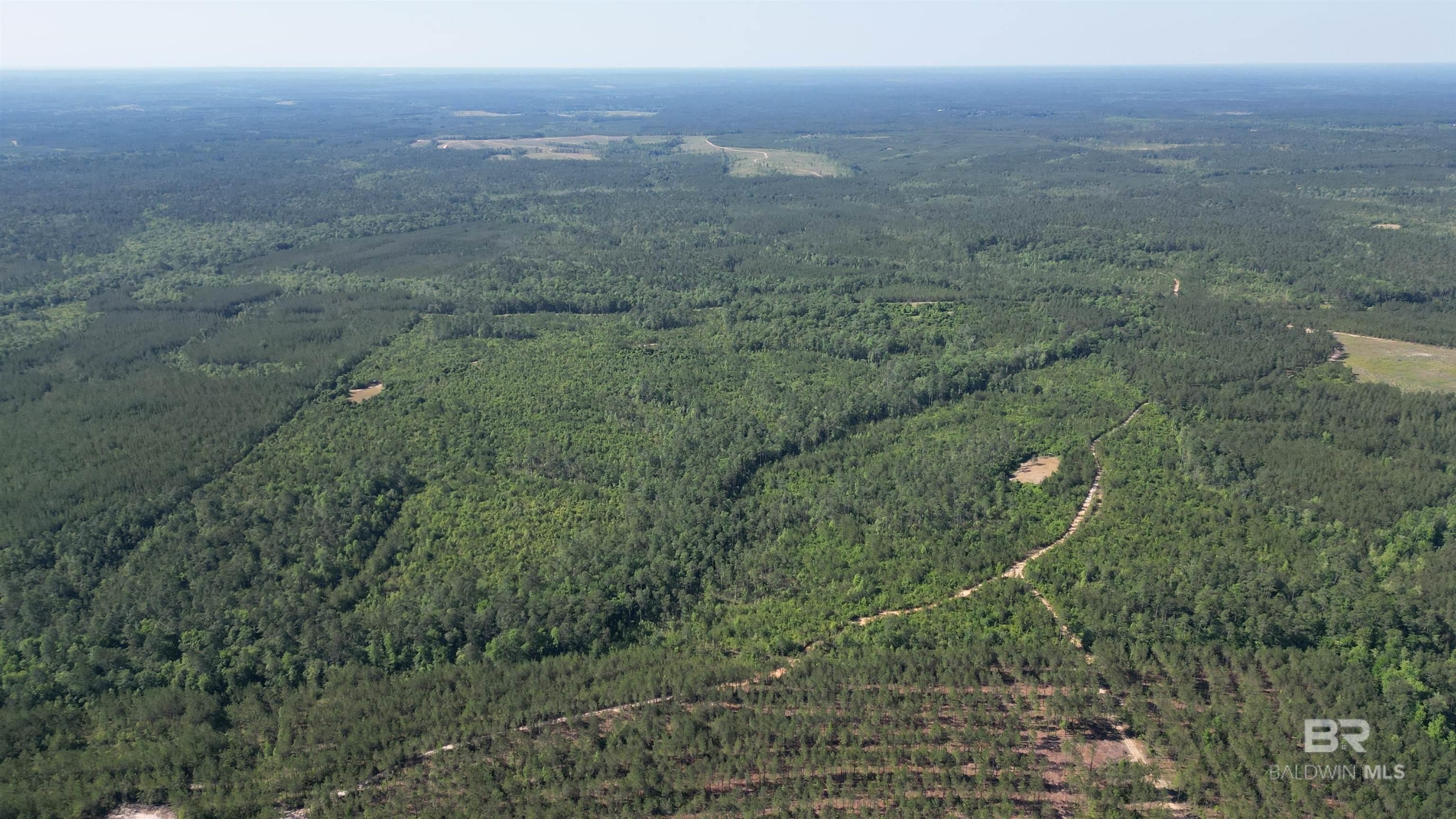 Deer Park Hunting and Recreational Land