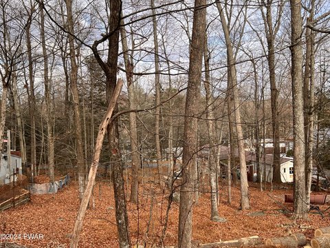 Wooded Lot in Lake Community
