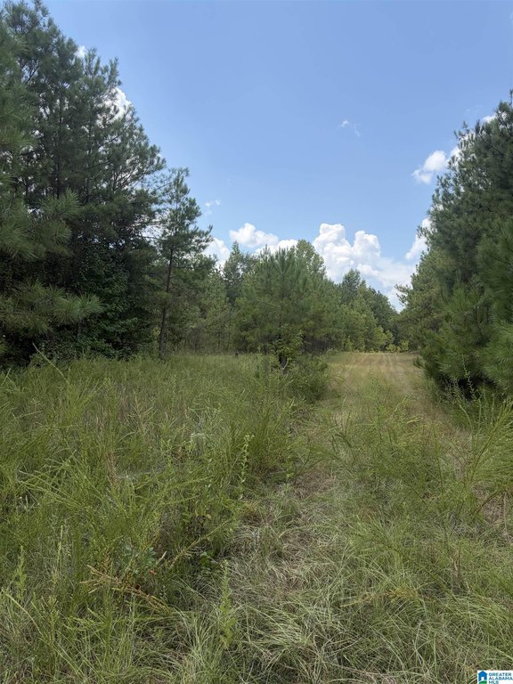 Picture 20