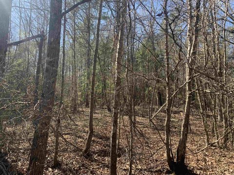 Dallas County Hunting Land