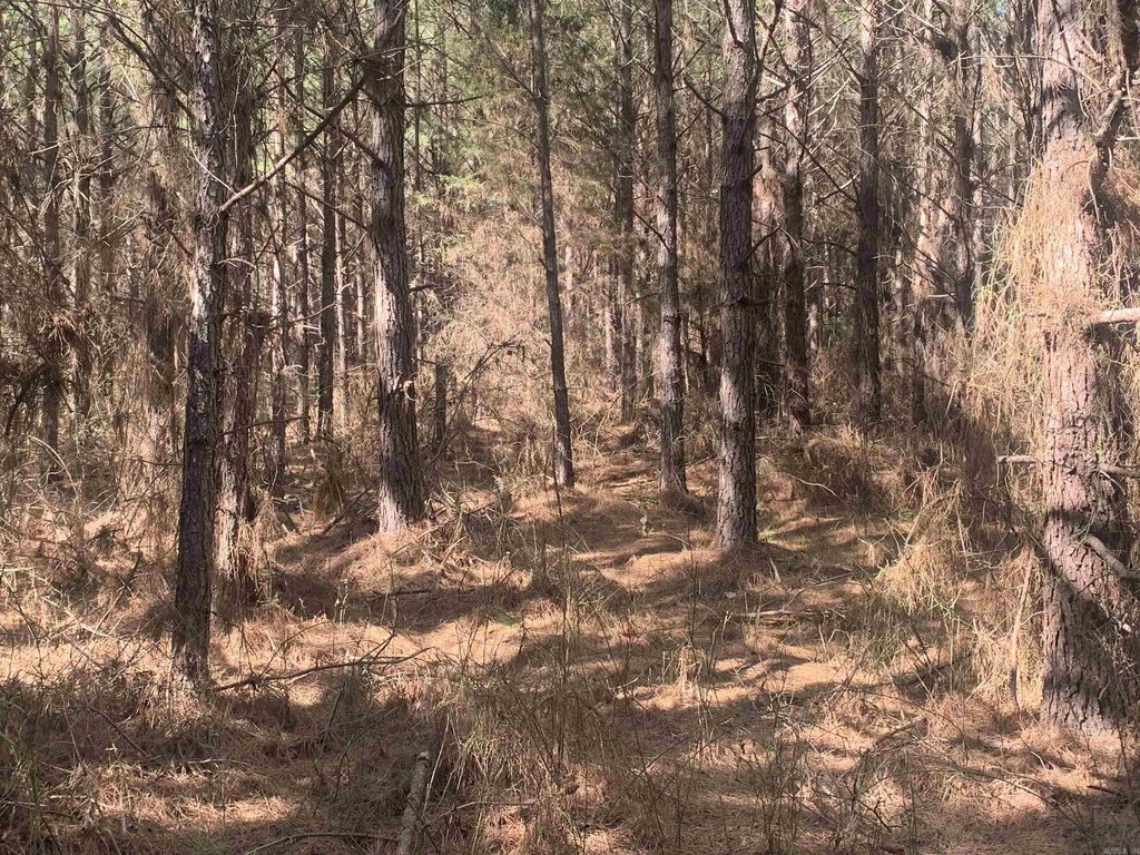 Picture 7