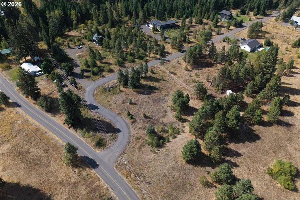 Picture 21