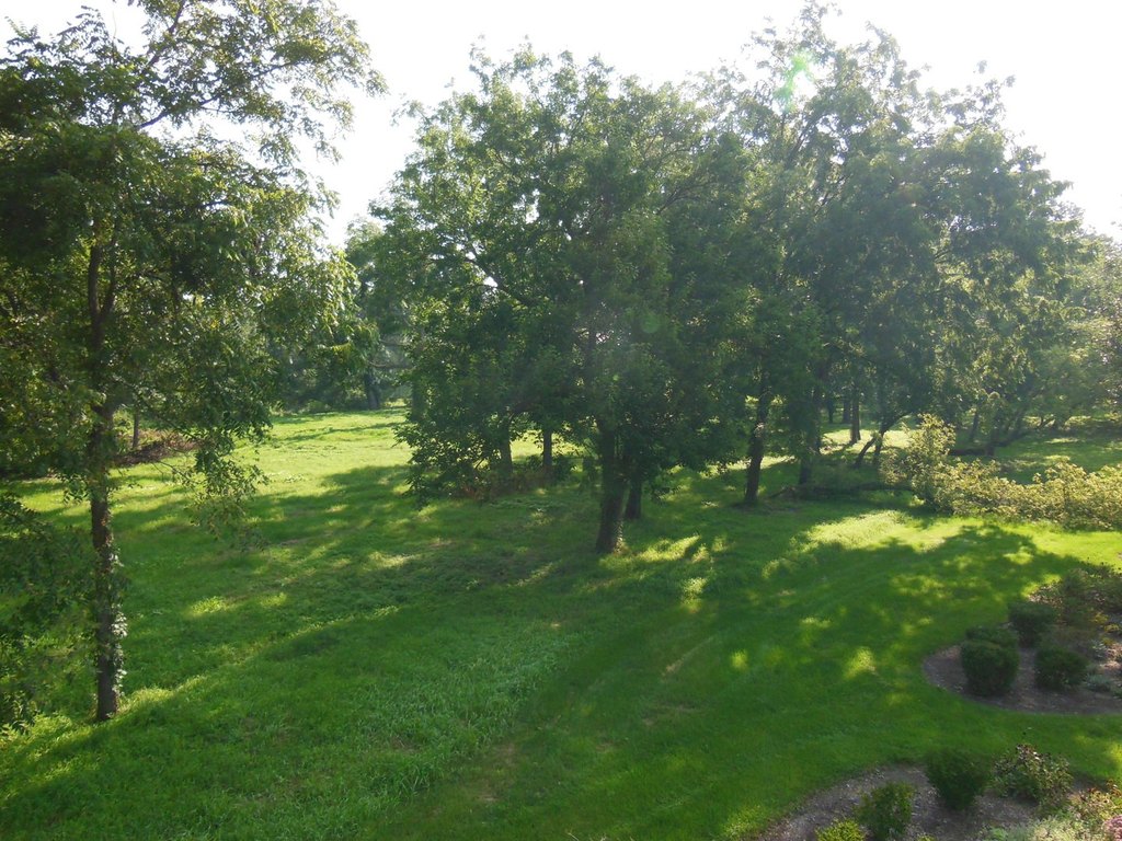 Picture 12