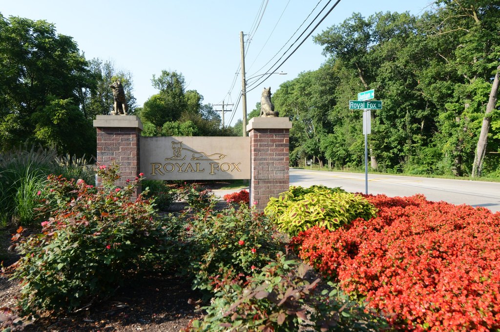 Picture 17