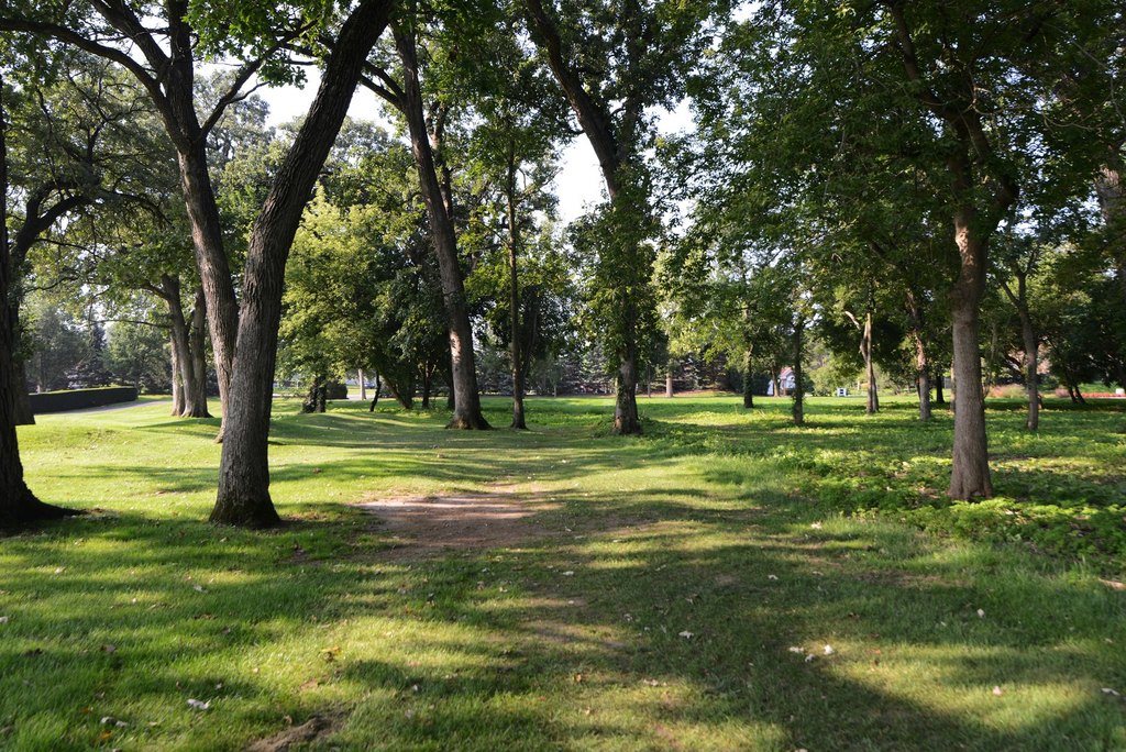 Picture 7