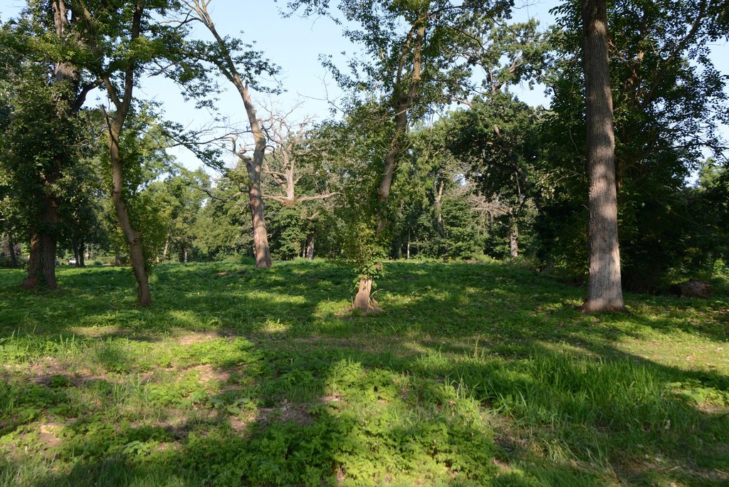 Picture 10
