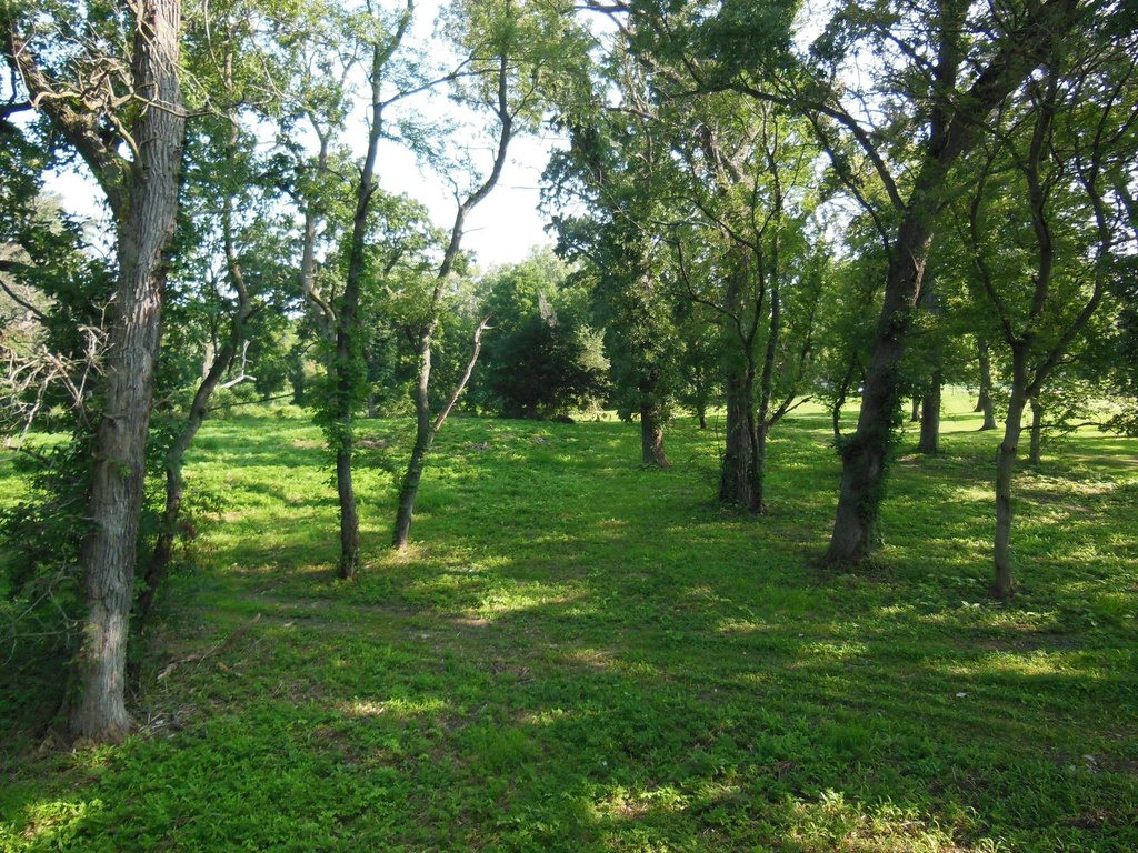 Picture 14