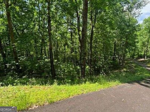 Young Harris Wooded Corner Lot