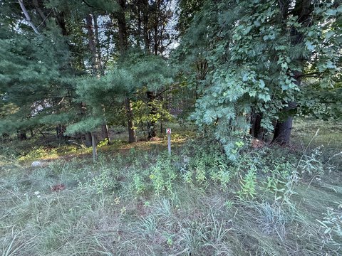 Land, Big Rapids, MI