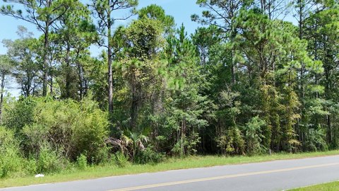 Land, Panacea, FL
