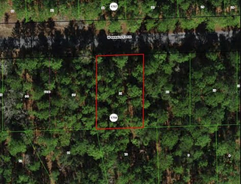 LAND - CITRUS SPRINGS, FL