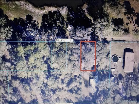 Land Near Ocala National Forest