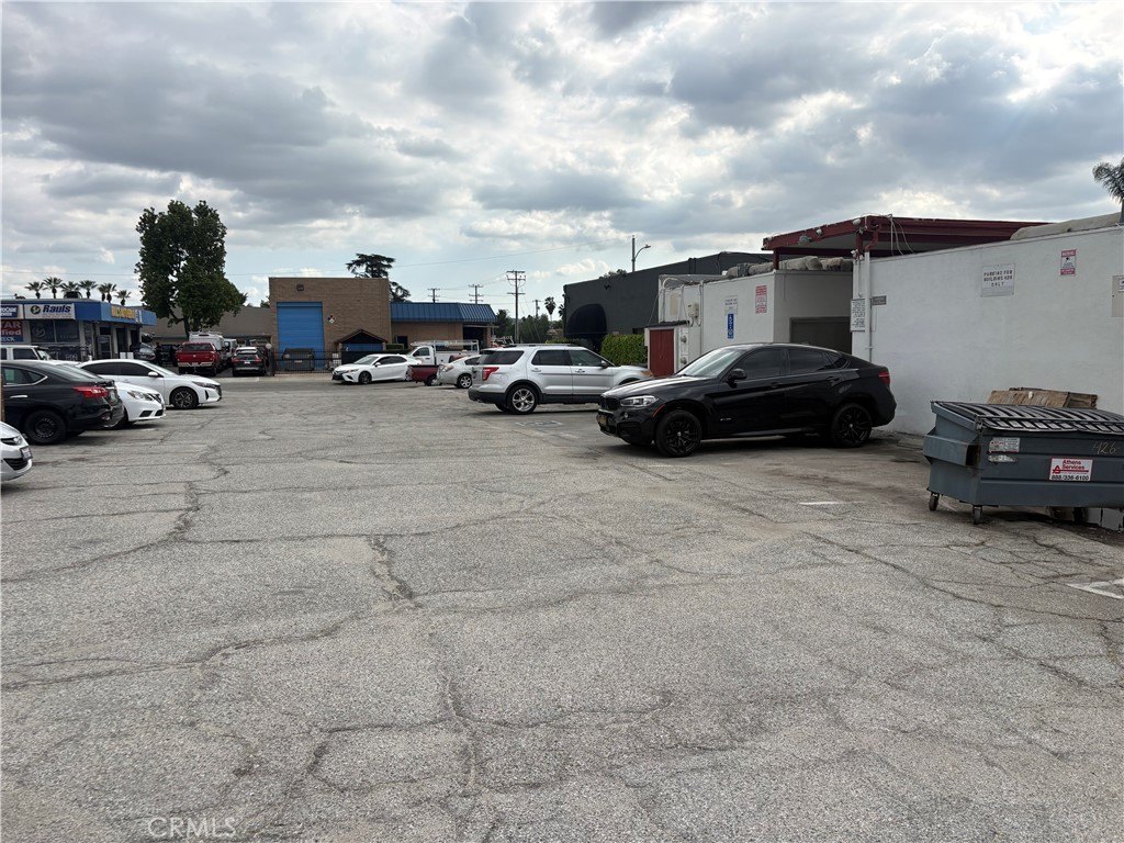 Picture 5