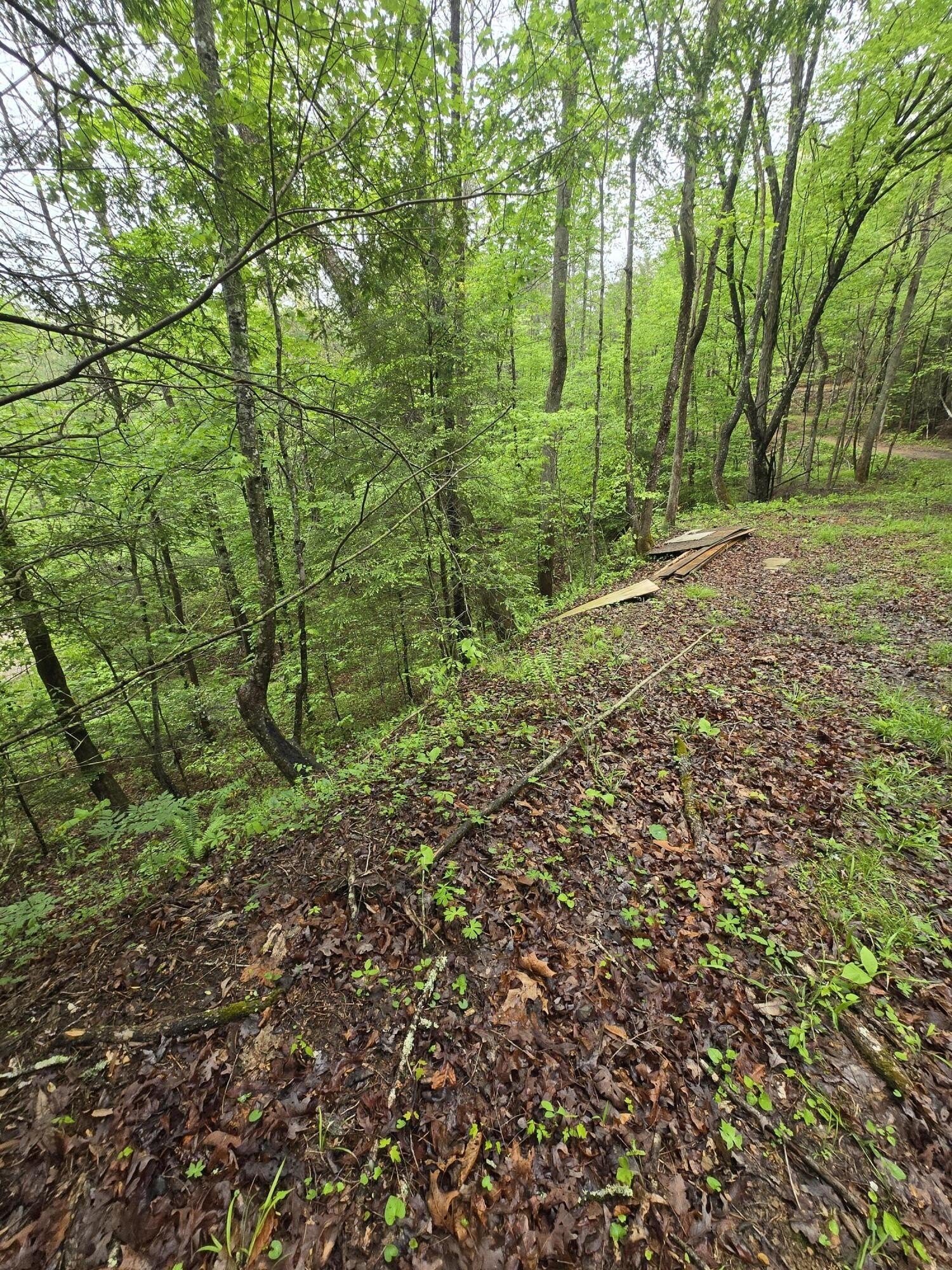 Wooded Lot Near Red River