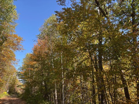 Private Hunting Land Tract