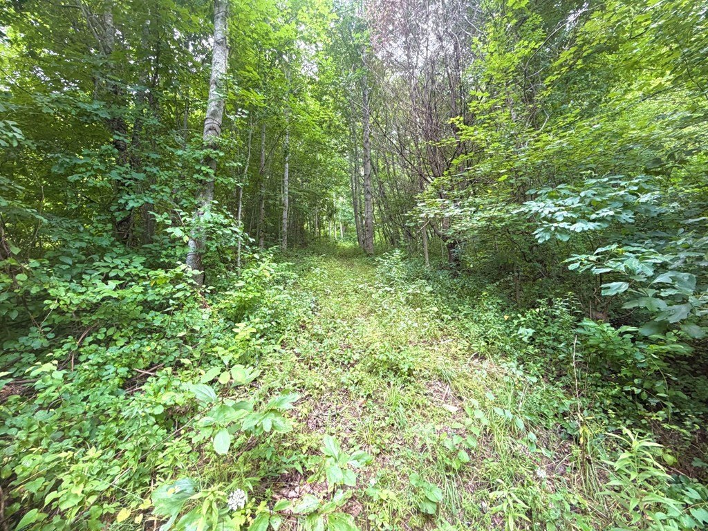 Picture 3