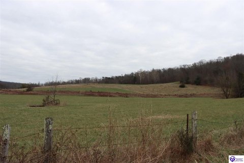 Fenced Pasture Farm Tract