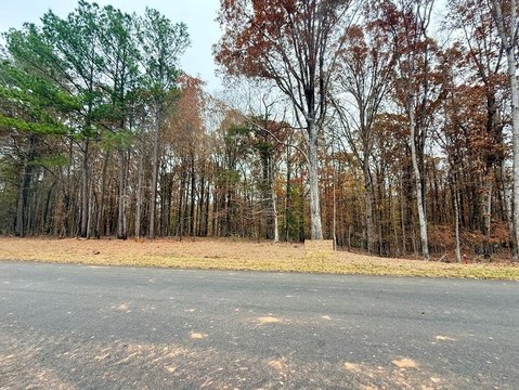 Waverly Hall Land For Sale