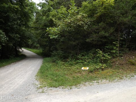 LAND - New Tazewell, TN