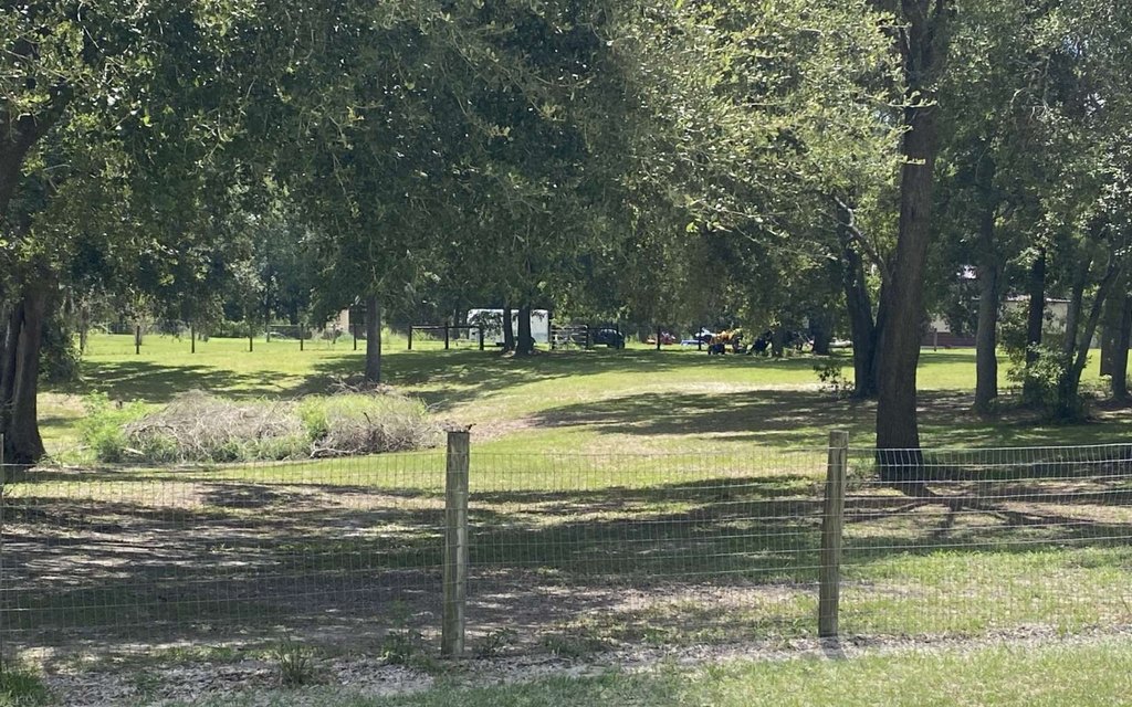 Picture 10