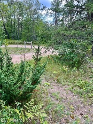Picture 18