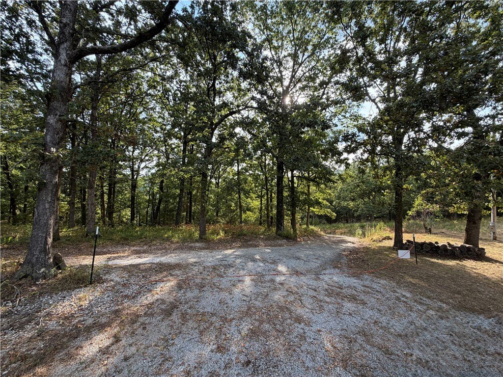Picture 25