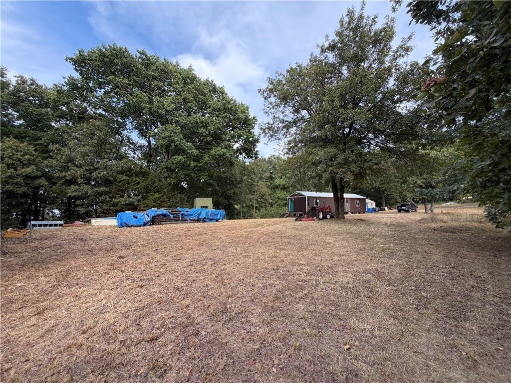 Picture 24