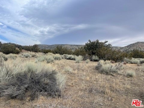 Tehachapi Land with Development Potential