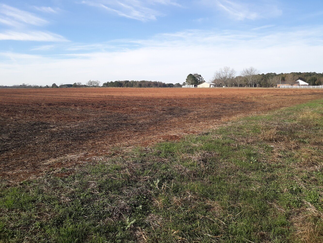 Daleville Land: Development Opportunity
