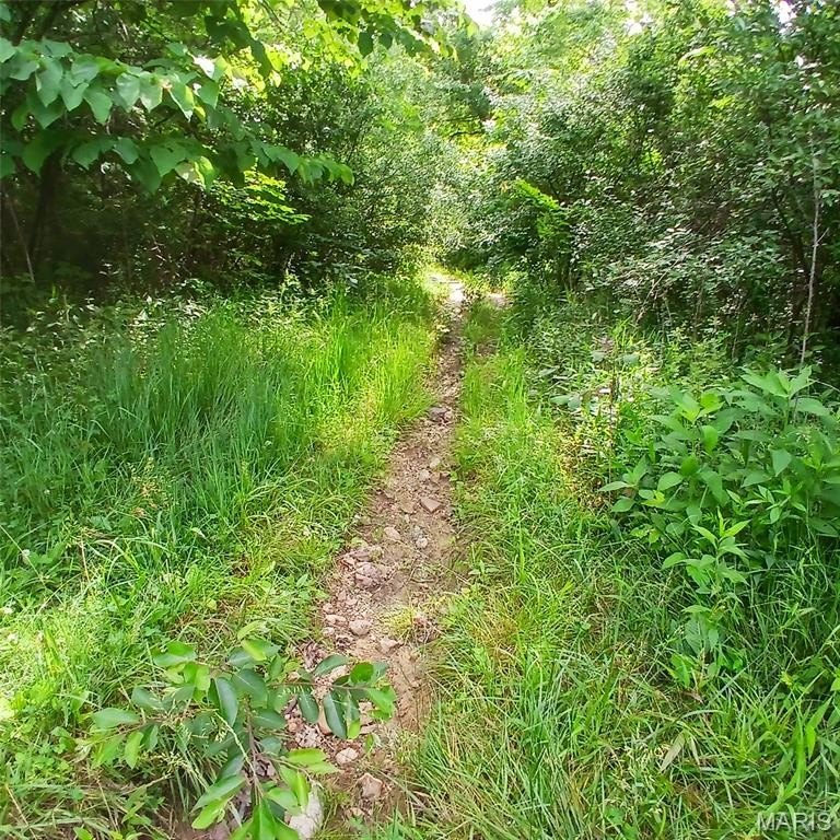 Picture 5
